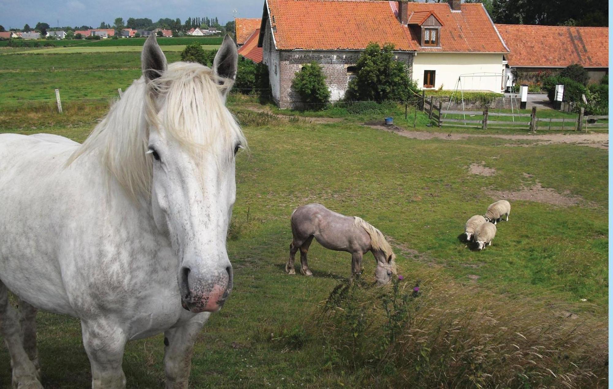 3 Bedroom Beautiful Home In Hames Boucres エクステリア 写真