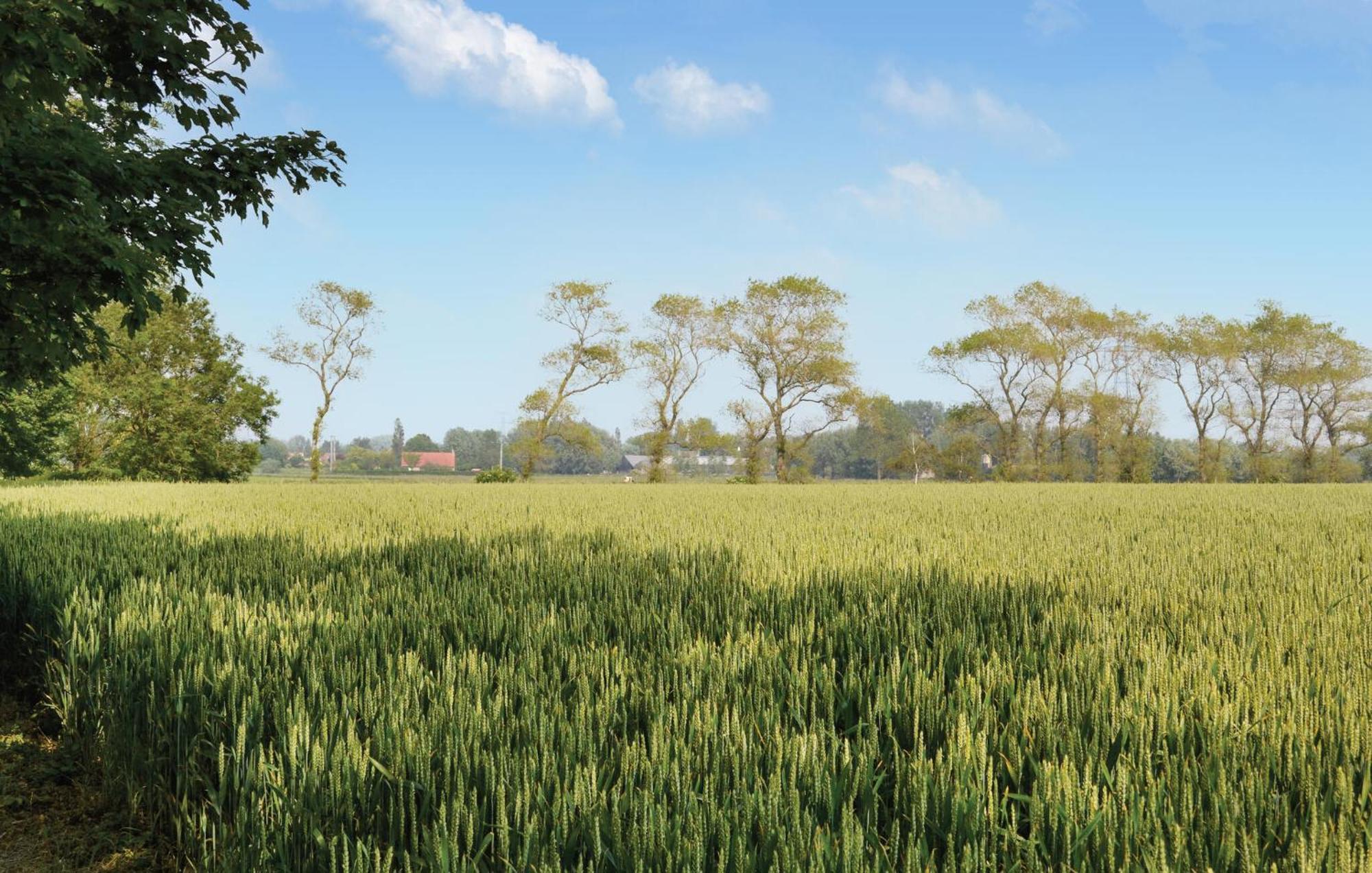 3 Bedroom Beautiful Home In Hames Boucres エクステリア 写真
