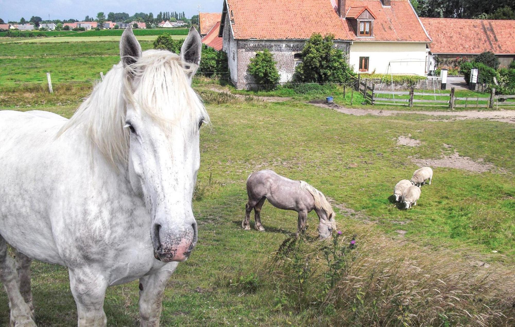 3 Bedroom Beautiful Home In Hames Boucres エクステリア 写真